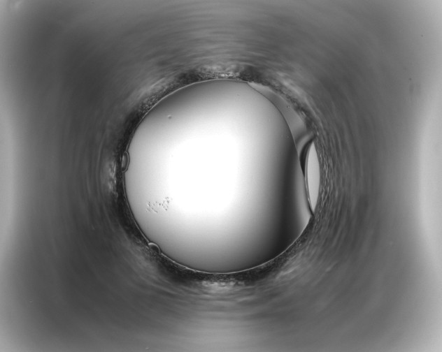 X0000086990693200704301338