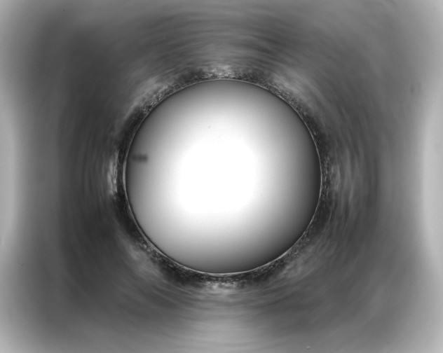 X0000086990694200704301338