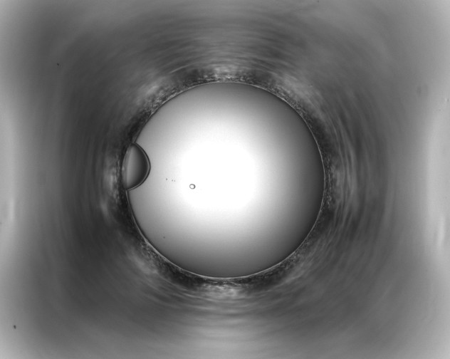 X0000086990698200704301338