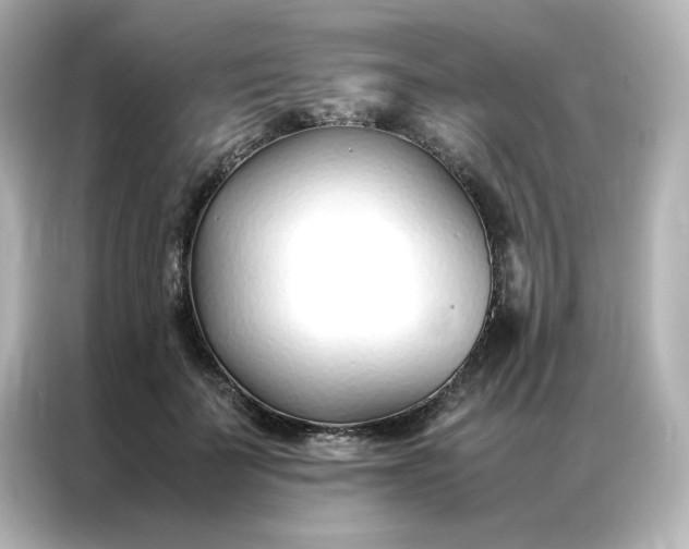 X0000086990699200704301338