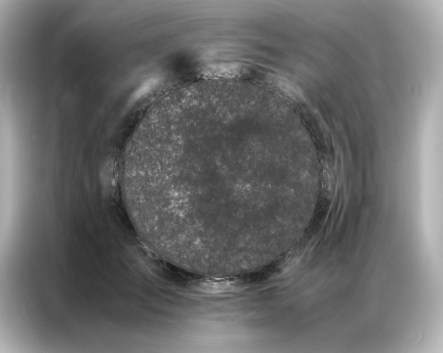 X0000086990701200704301338