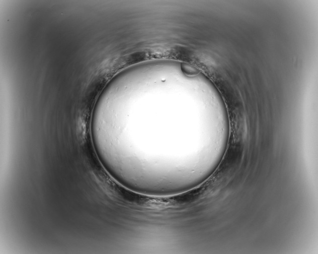 X0000086990703200704301338