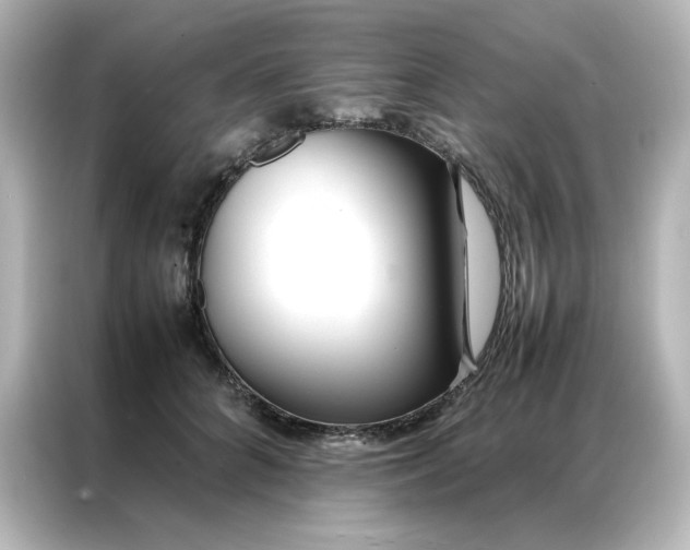 X0000086990704200704301338