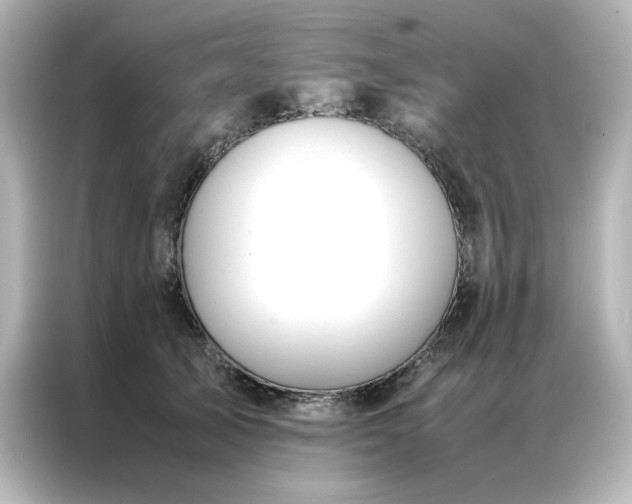 X0000086990705200704301338