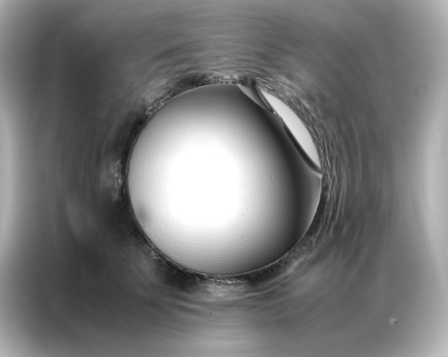 X0000086990707200704301338