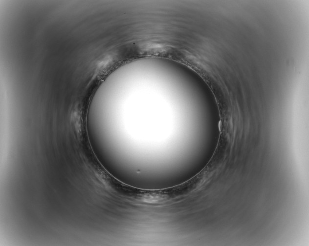 X0000086990708200704301338