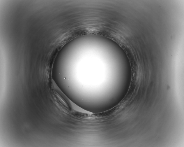 X0000086990710200704301338