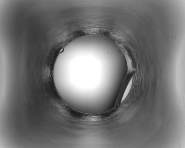 X0000086990711200704301338