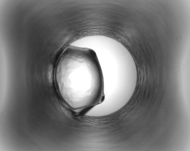 X0000086990712200704301338