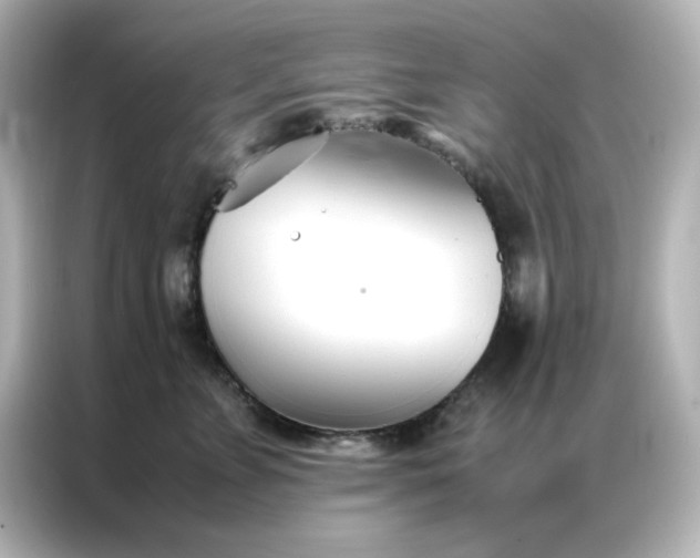 X0000086990715200704301337