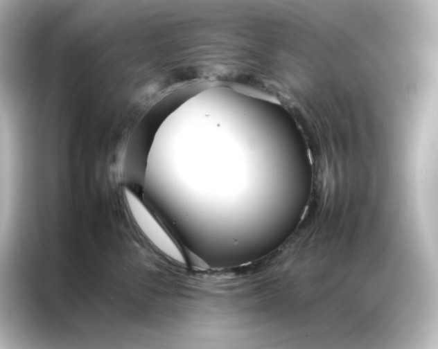 X0000086990716200704301337