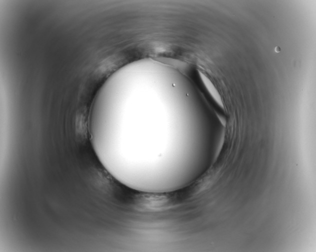 X0000086990719200704301337