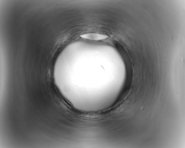 X0000086990720200704301337