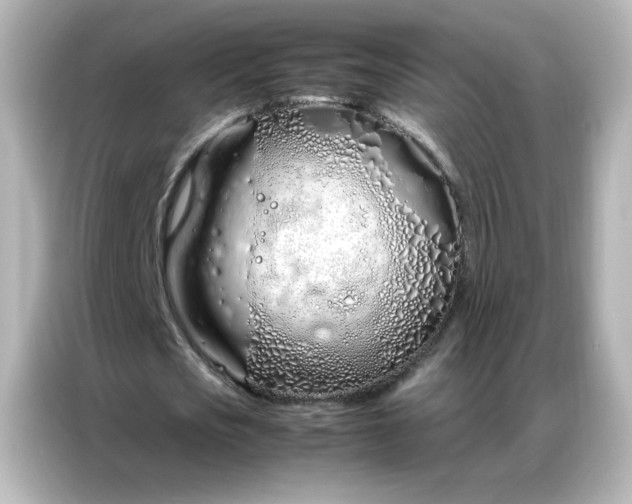 X0000086990721200704301337