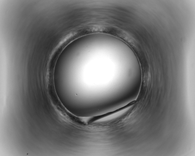 X0000086990722200704301337