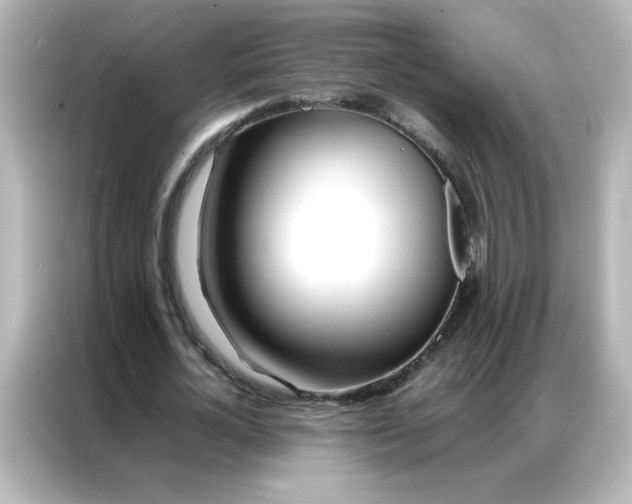 X0000086990724200704301337