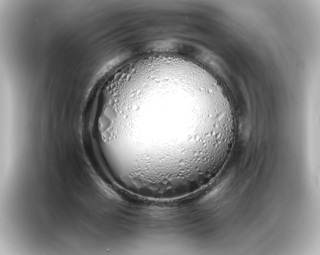 X0000086990725200704301337