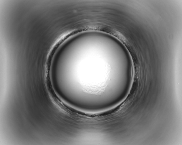 X0000086990726200704301337