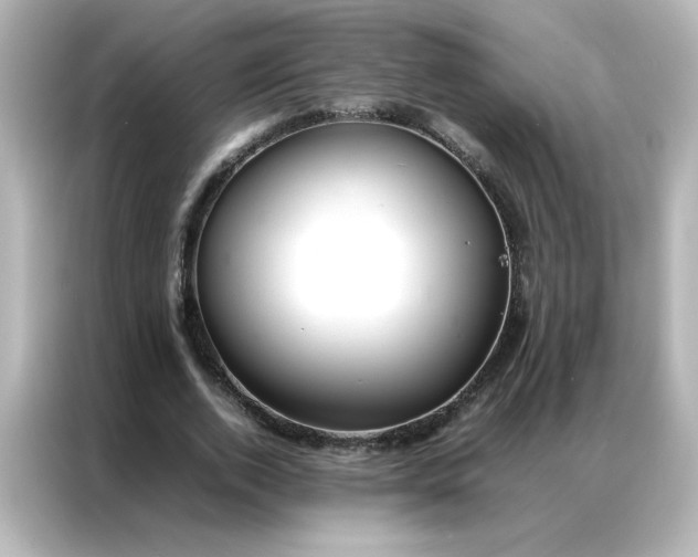 X0000086990728200704301337