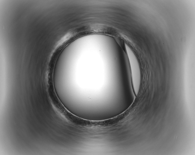 X0000086990730200704301337