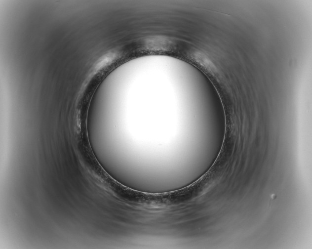 X0000086990731200704301337