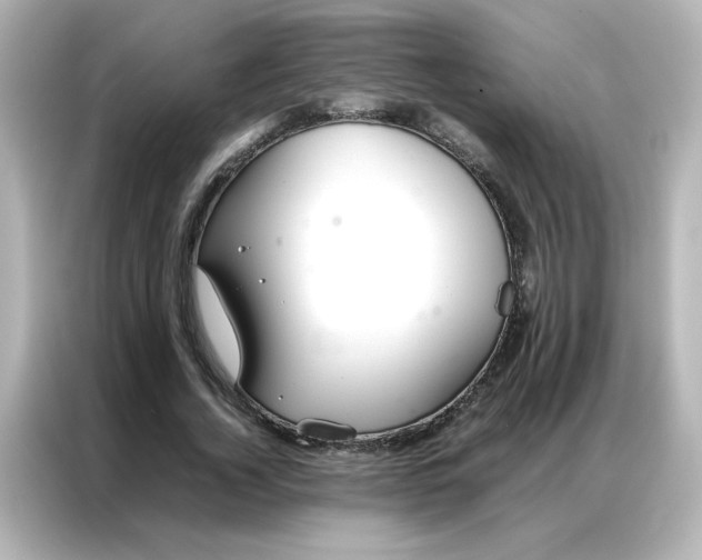 X0000086990732200704301337