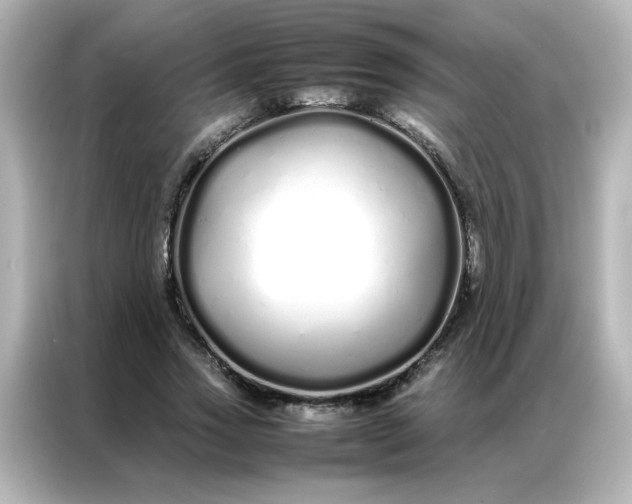 X0000086990733200704301337