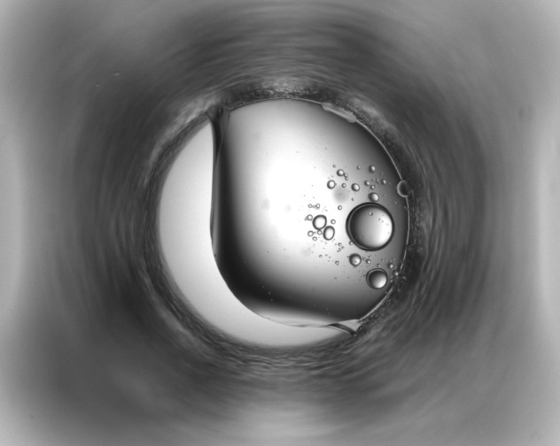 X0000086990734200704301337