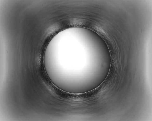 X0000086990735200704301337