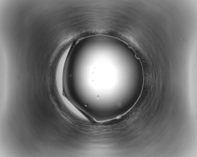 X0000086990736200704301337