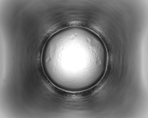 X0000086990737200704301337