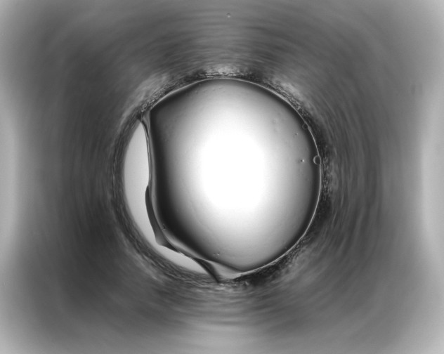 X0000086990738200704301337