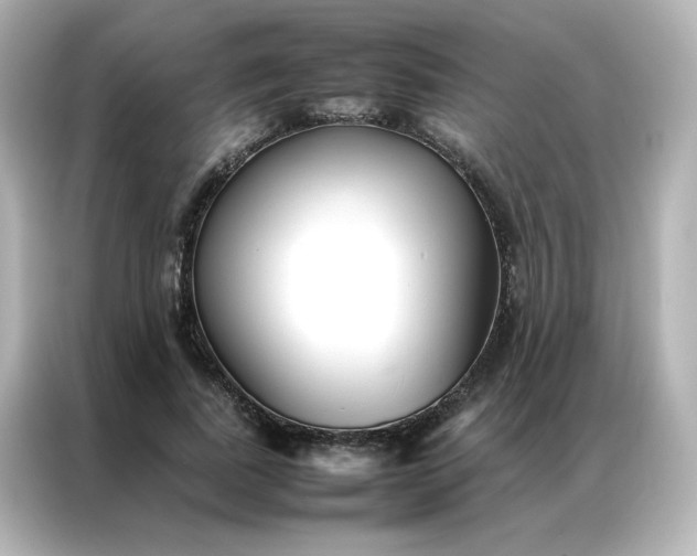 X0000086990739200704301337