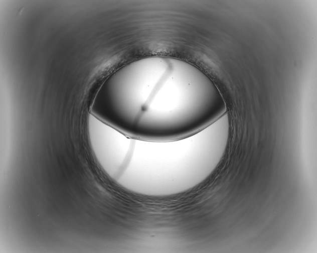 X0000086990740200704301337