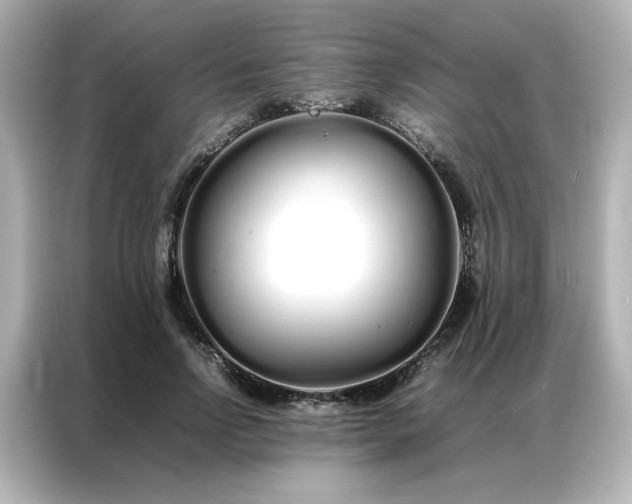 X0000086990742200704301337