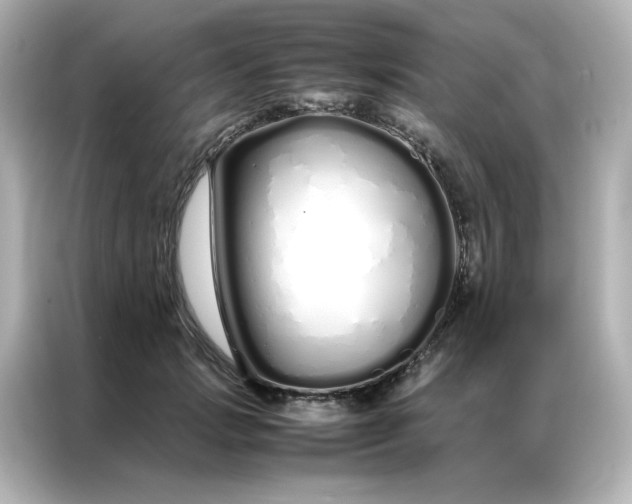 X0000086990749200704301337