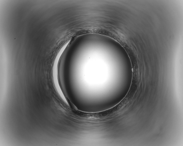 X0000086990750200704301337