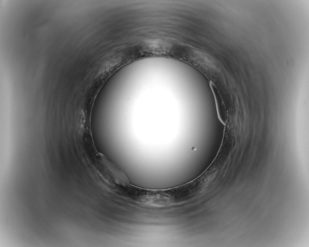 X0000086990752200704301337