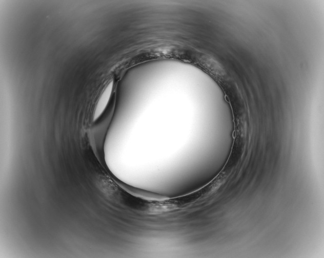 X0000086990754200704301337