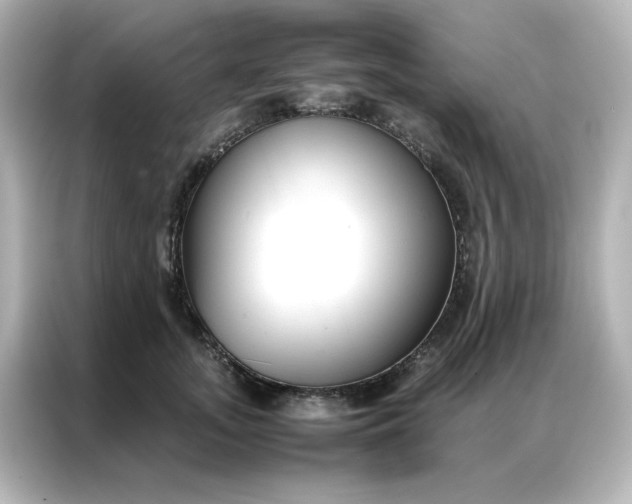 X0000086990755200704301337