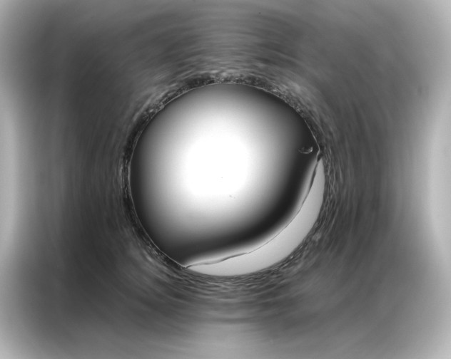 X0000086990756200704301337