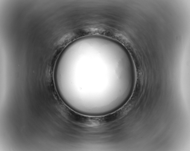 X0000086990757200704301337