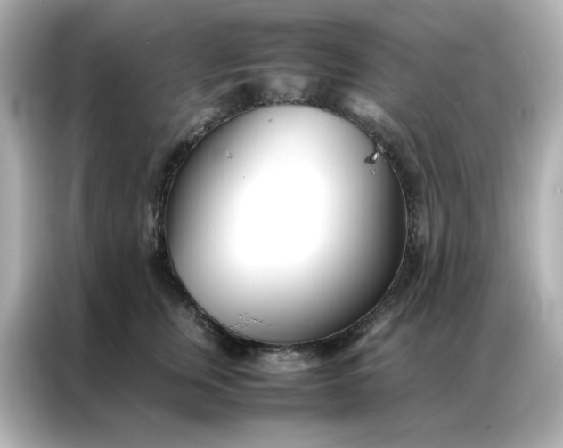 X0000086990759200704301337