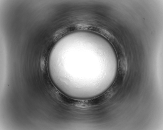 X0000086990761200704301337