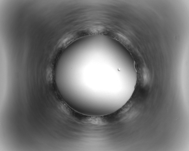 X0000086990762200704301337