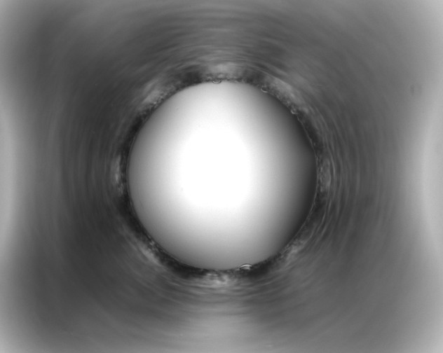 X0000086990764200704301337