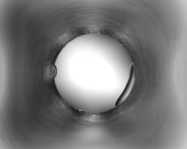 X0000086990768200704301337