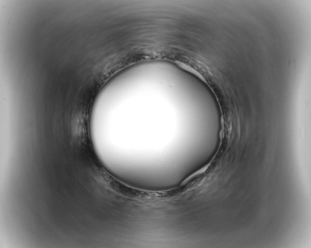 X0000086990770200704301337