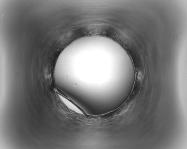 X0000086990771200704301337