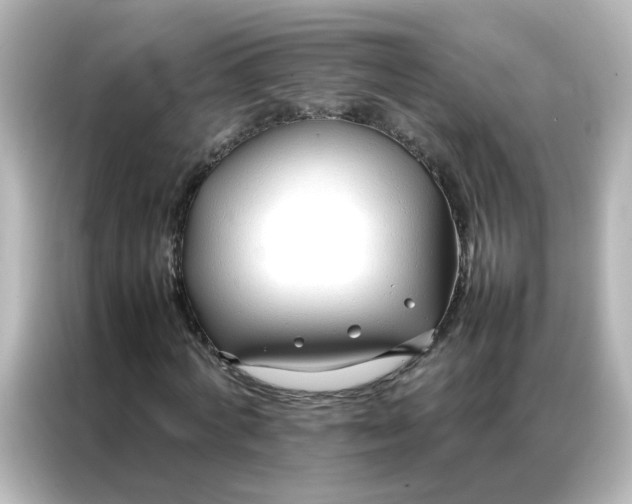 X0000086990772200704301337